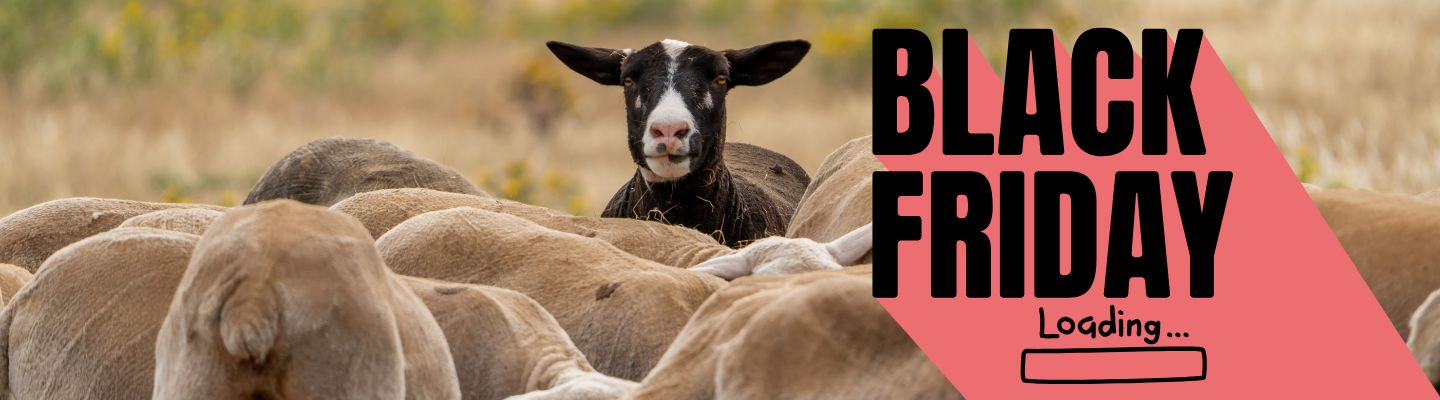 Black friday : charentaises en promotion