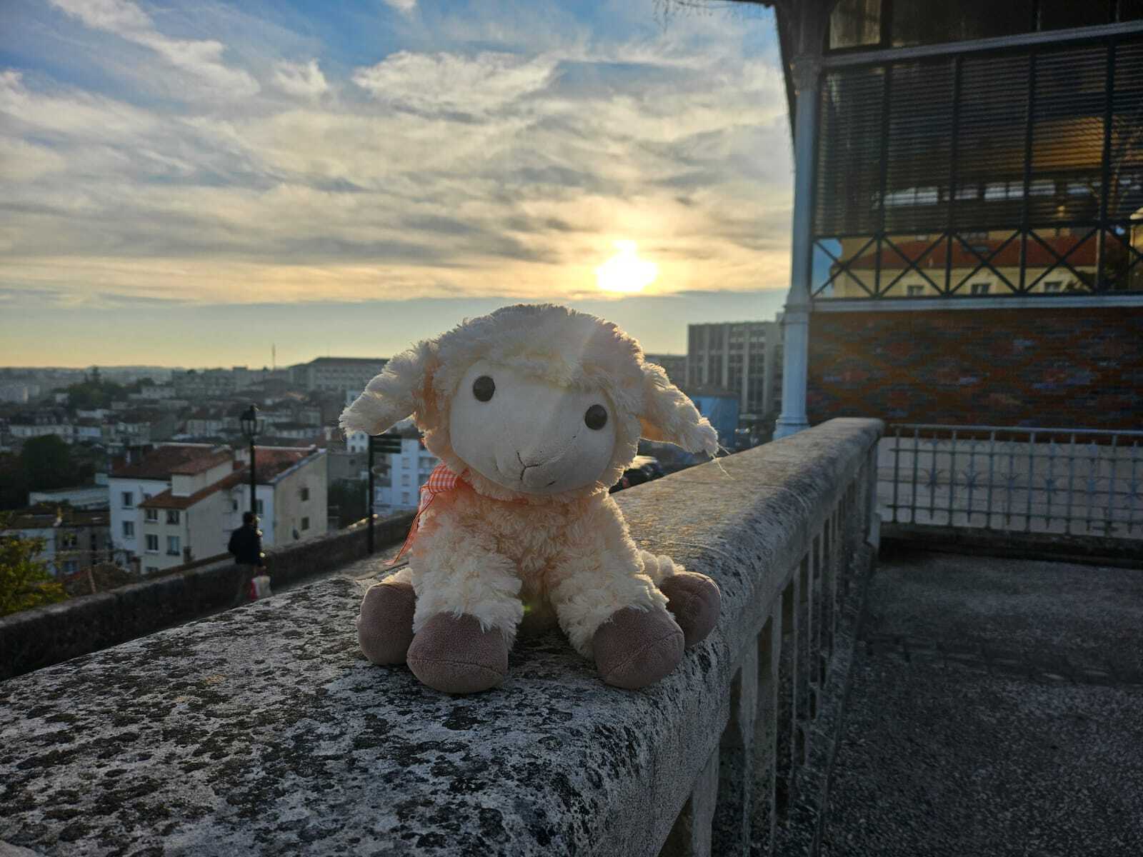 chausse mouton fête la charentaise !
